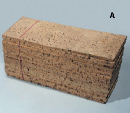 (image for) Small Cork Boards.30x10x0.5cm